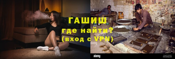 PSILOCYBIN Горно-Алтайск
