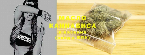 твердый Горняк