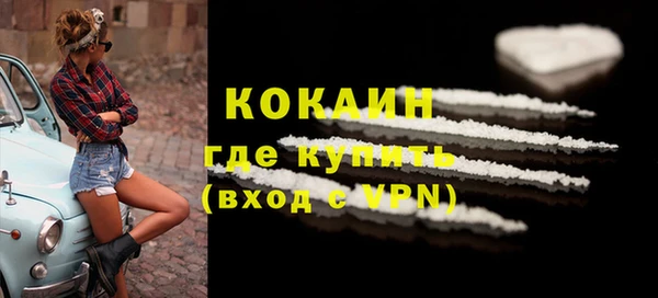 твердый Горняк