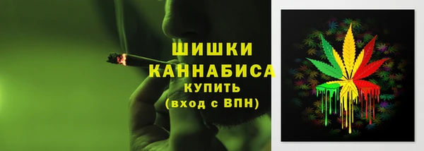 твердый Горняк