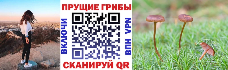 Галлюциногенные грибы мицелий Иваново